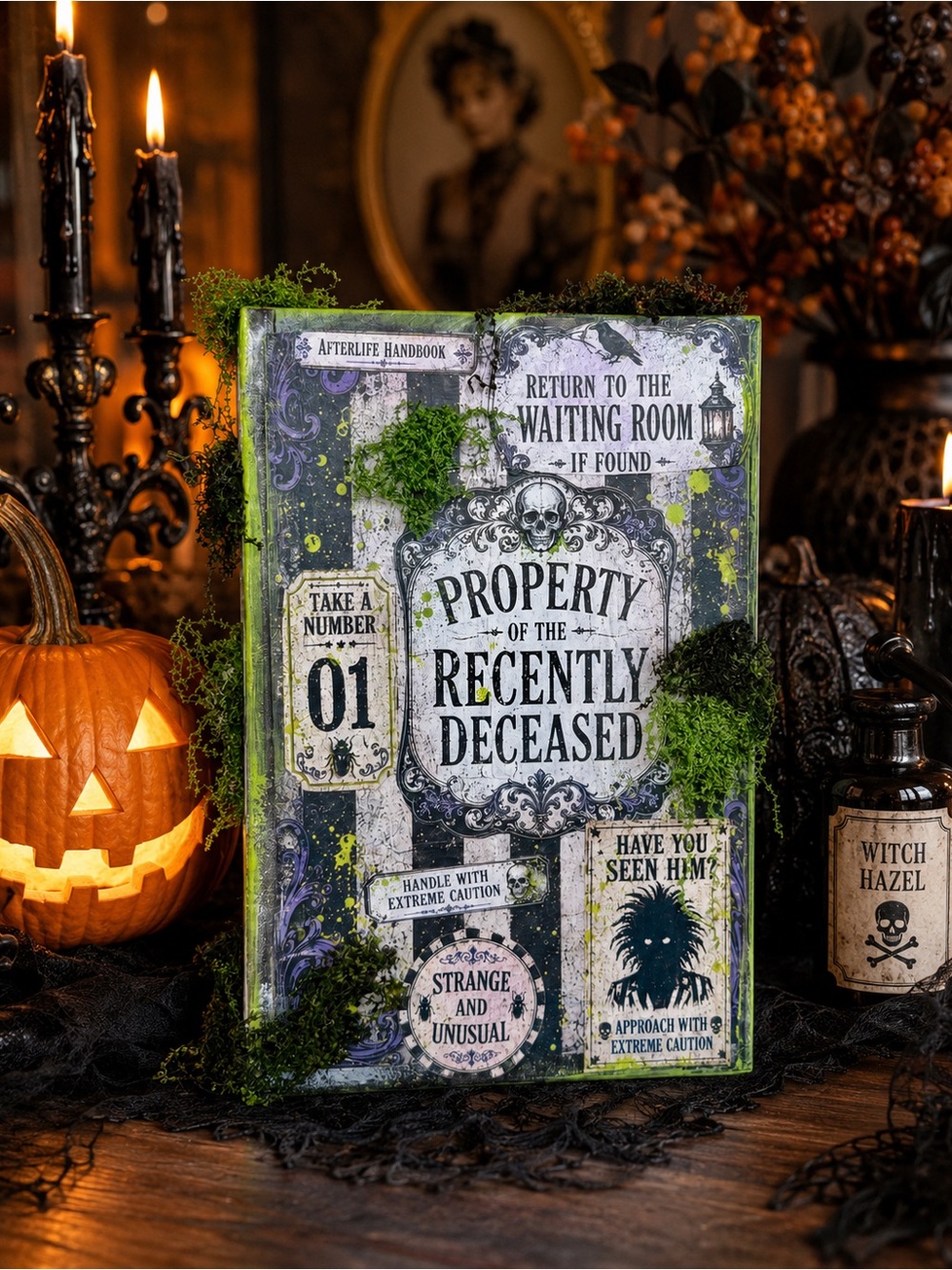 Handmade Recently Deceased Gothic Oddities Decor Book Inspired by Beetlejuice
